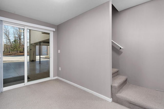 stairway featuring carpet flooring