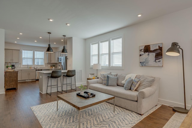 living room featuring hardwood / wood-style flooring and sink