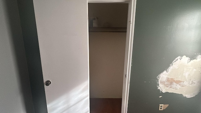 view of closet