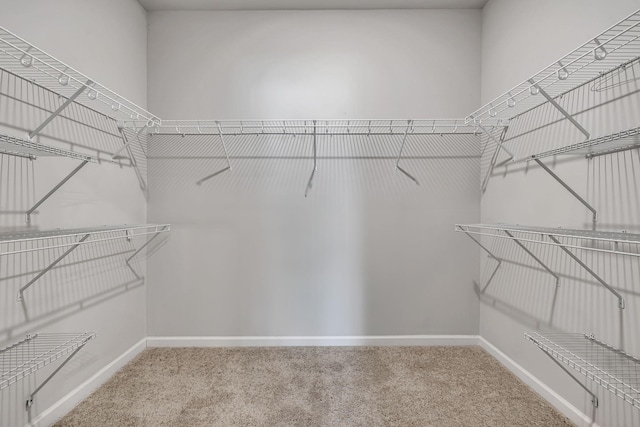 spacious closet with carpet flooring