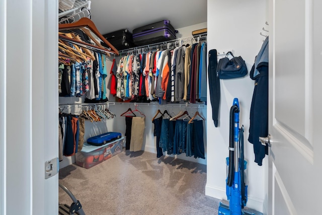 walk in closet featuring carpet