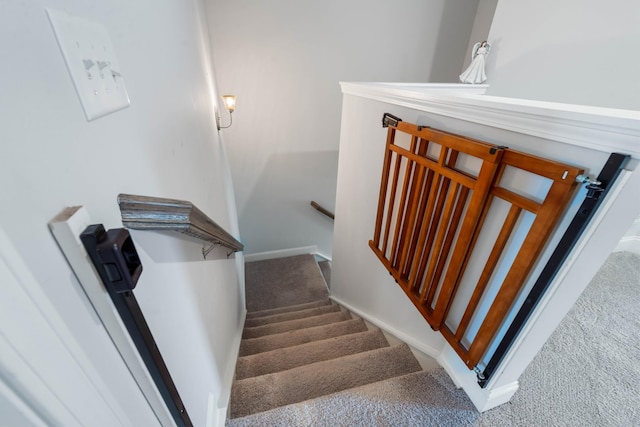 stairs with carpet floors