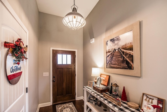 foyer entrance with dark hardwood / wood-style floors