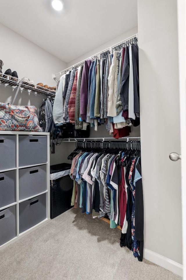 walk in closet with carpet floors