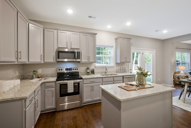 kitchen featuring dark hardwood / wood-style flooring, a wealth of natural light, sink, and stainless steel appliances