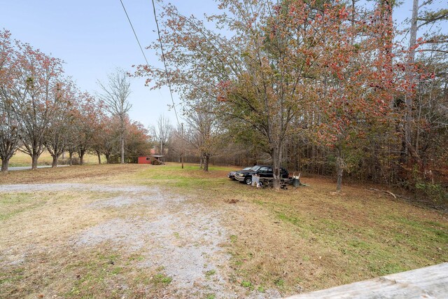 4484 Jefferson Rd, Smithville, TN 37166 - photo 21