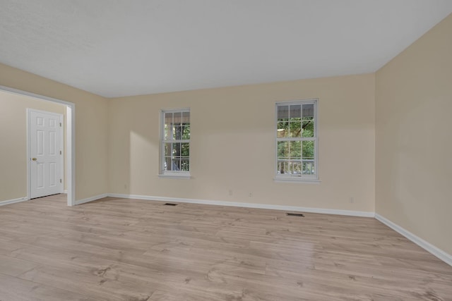 empty room featuring a wealth of natural light and light wood-type flooring