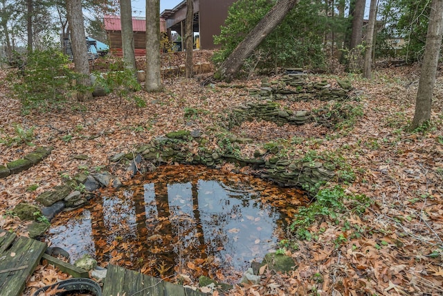 view of yard featuring a small pond