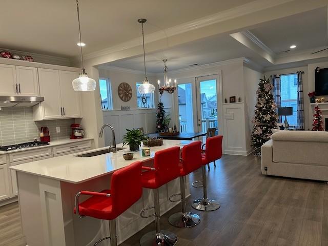 kitchen with under cabinet range hood, stainless steel gas stovetop, a sink, and wood finished floors