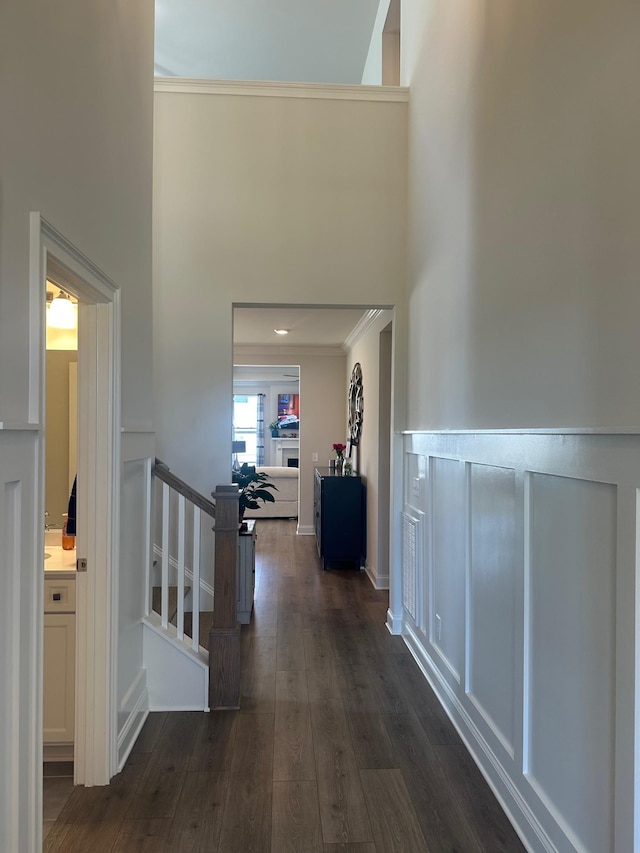 corridor featuring a towering ceiling, ornamental molding, dark wood finished floors, and a decorative wall