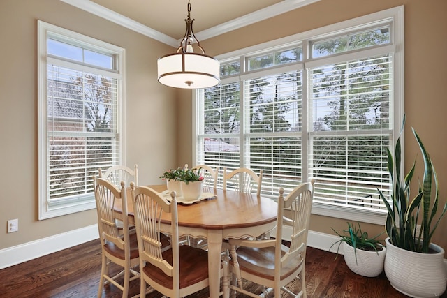 dining room featuring a wealth of natural light, crown molding, and dark hardwood / wood-style floors