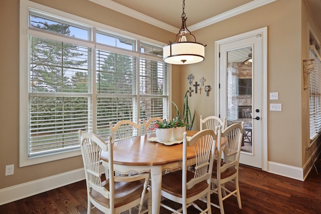 dining room featuring a wealth of natural light, dark hardwood / wood-style floors, and ornamental molding