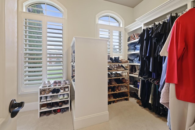 spacious closet with carpet flooring