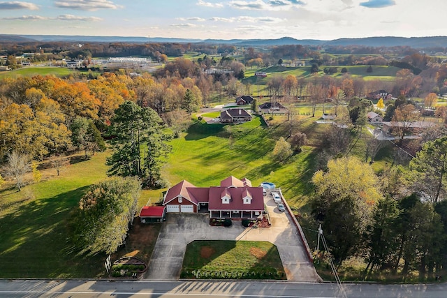 bird's eye view