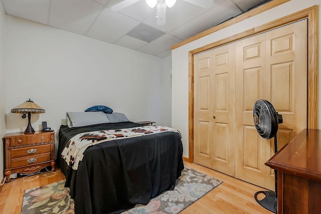 bedroom featuring a paneled ceiling, ceiling fan, a closet, and light hardwood / wood-style flooring