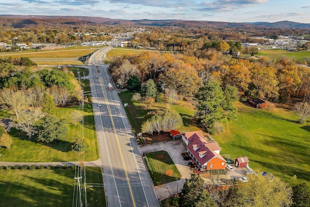 bird's eye view