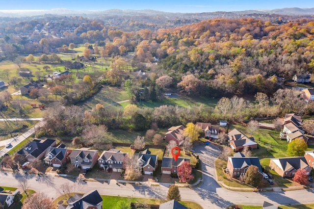 bird's eye view