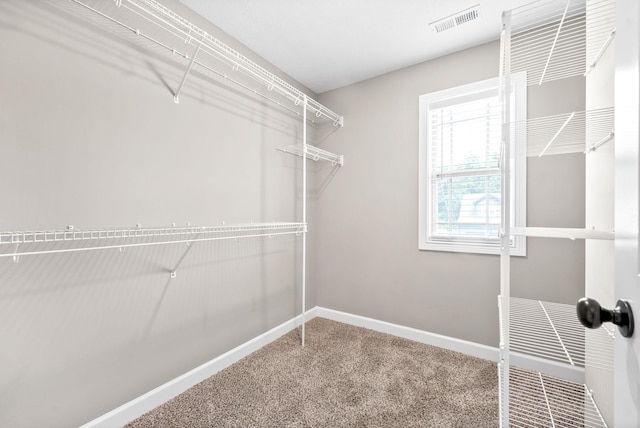 walk in closet with carpet flooring