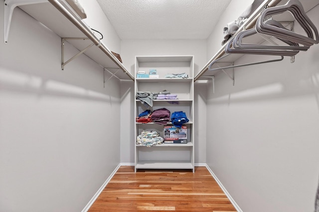 spacious closet with hardwood / wood-style flooring