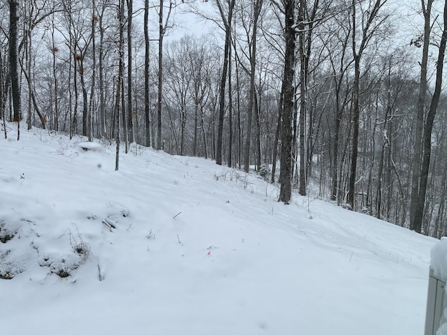 view of snowy yard