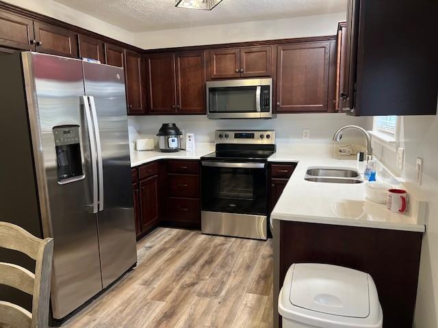 kitchen featuring dark brown cabinetry, sink, light hardwood / wood-style flooring, a textured ceiling, and appliances with stainless steel finishes