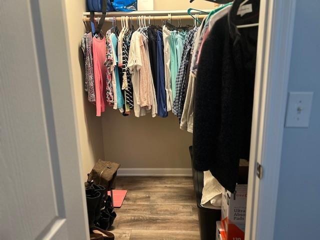 spacious closet with hardwood / wood-style flooring