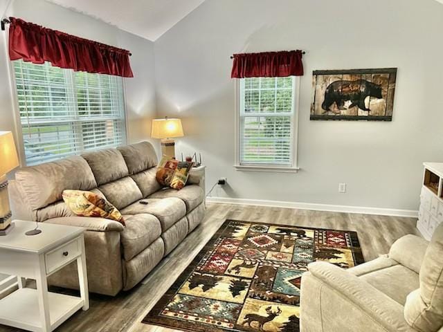 living room featuring hardwood / wood-style floors, a wealth of natural light, and vaulted ceiling