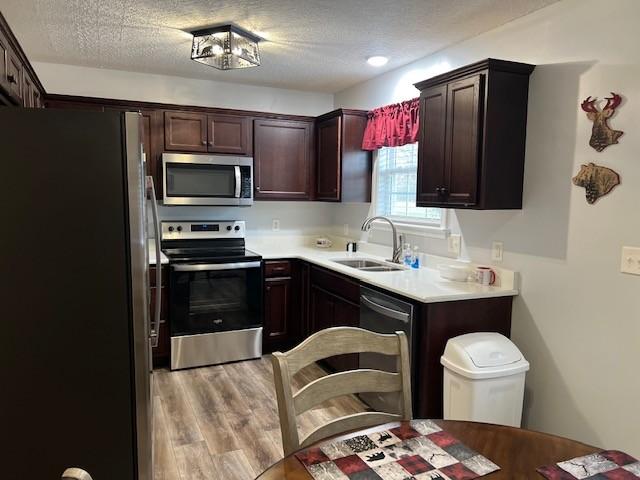 kitchen with sink, a textured ceiling, appliances with stainless steel finishes, light hardwood / wood-style floors, and dark brown cabinetry