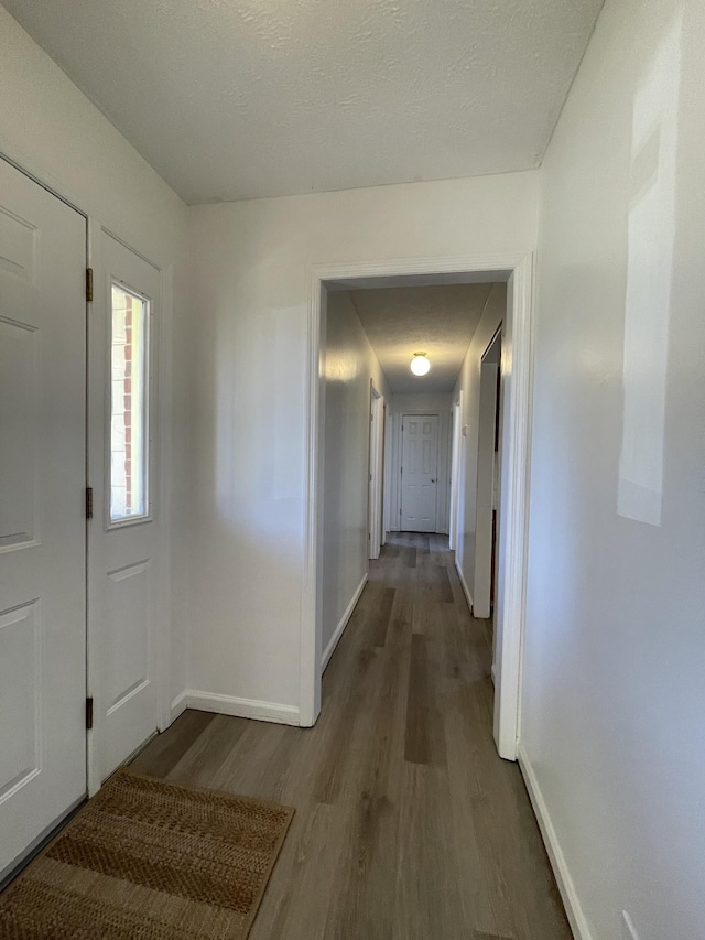 entryway with wood-type flooring