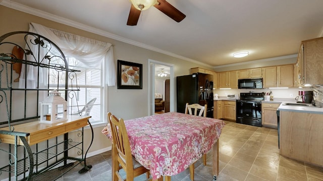 dining space featuring ceiling fan, crown molding, and sink