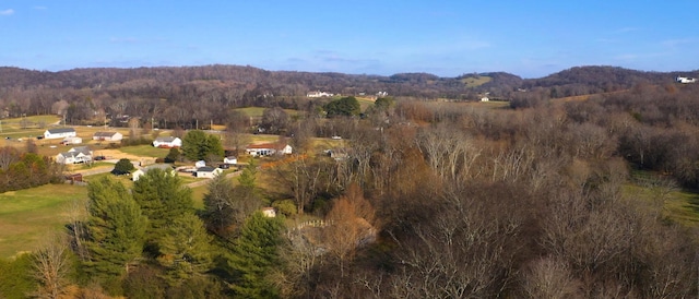 aerial view with a mountain view