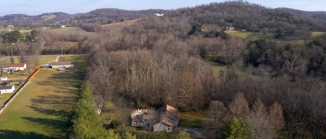 drone / aerial view featuring a mountain view