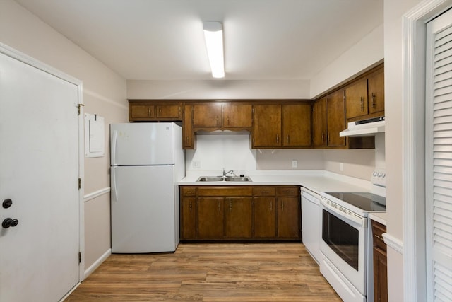 kitchen with light hardwood / wood-style flooring, white appliances, and sink