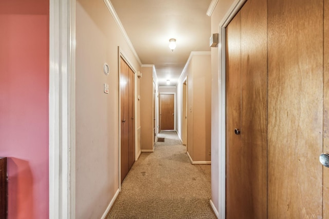 corridor featuring light carpet and ornamental molding