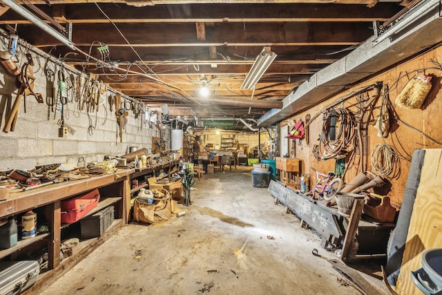 basement with a workshop area