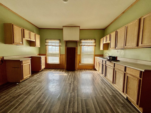 kitchen featuring sink, dark hardwood / wood-style floors, and ornamental molding