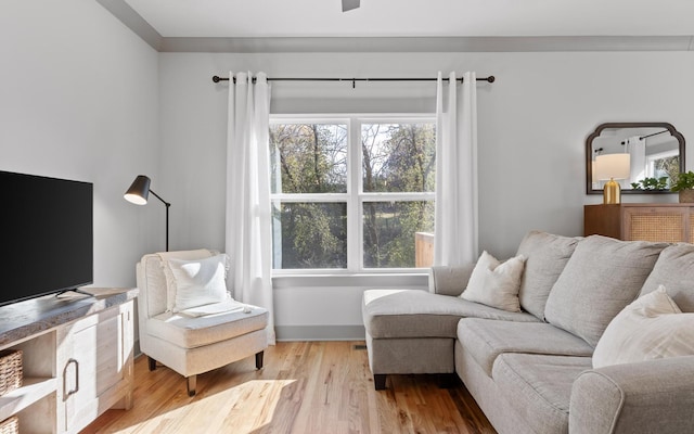 living room with light wood-type flooring