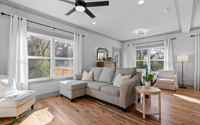 living room featuring ceiling fan, light hardwood / wood-style floors, and crown molding