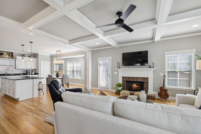 living room featuring ceiling fan with notable chandelier, light hardwood / wood-style flooring, plenty of natural light, and coffered ceiling