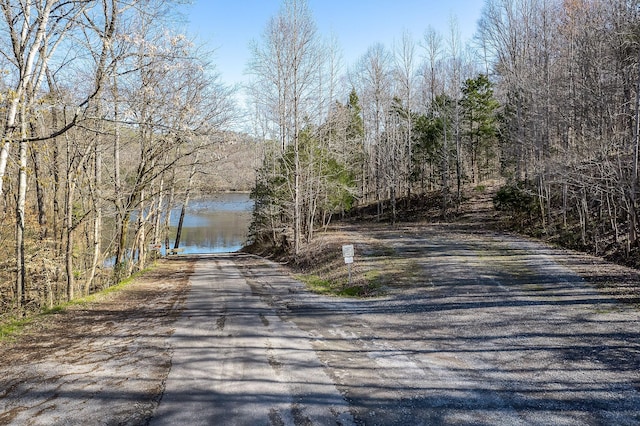 view of road with a water view