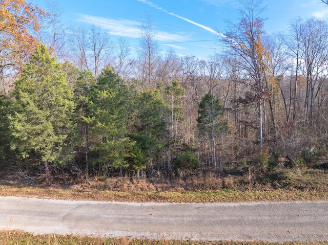 Listing photo 2 for 0 Perryville Estate Ln, Parsons TN 38363