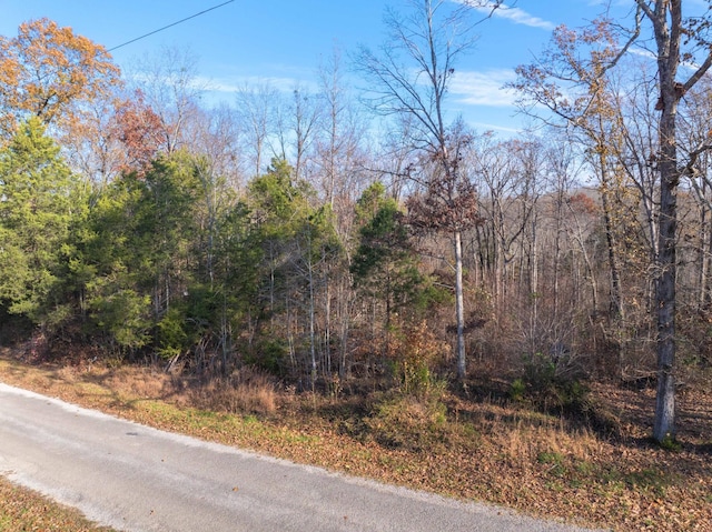 Listing photo 3 for 0 Perryville Estate Ln, Parsons TN 38363