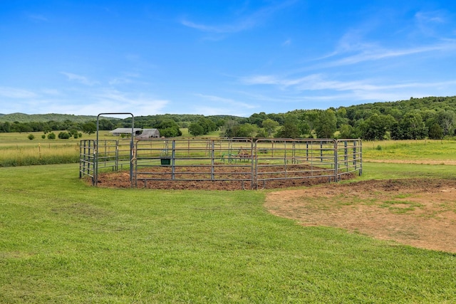 view of yard featuring a rural view