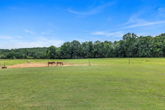 view of yard featuring a rural view