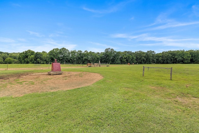 view of yard with a rural view