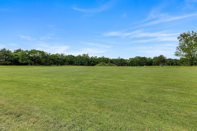 view of yard with a rural view