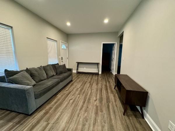 living room featuring dark hardwood / wood-style floors