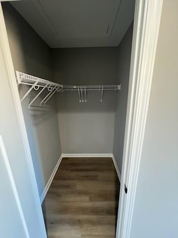 spacious closet with wood-type flooring