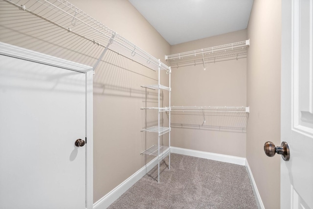 walk in closet featuring carpet