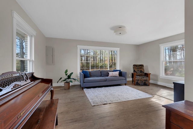 living room with electric panel, plenty of natural light, and light hardwood / wood-style floors